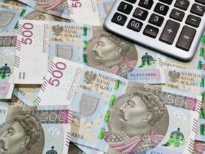 Ile zarabia się teraz w Polsce? Sprawdź Raport Płacowy Devire